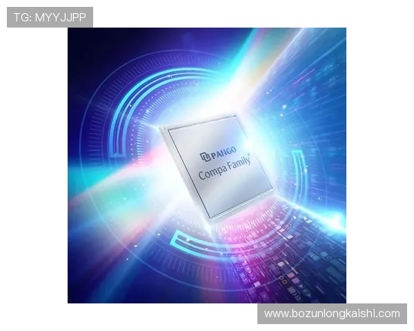 尊龙凯时网址安全保障措施，确保每一位用户的资金与信息安全无忧