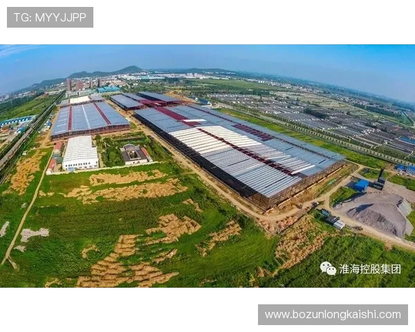 尊龙体育集团全面解析其发展历程与行业地位，助你深入了解行业领军企业的成功之道