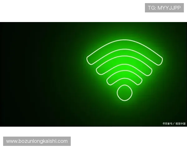 尊龙凯时的网址查询指南，帮助玩家快速找到官方登录地址和安全保障